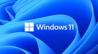 Update to Windows 11 and Provalis Research software